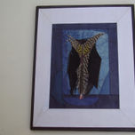 Plumas Uruguayas thumbnail 1