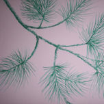 La Memoria de los Arboles - The memory of trees thumbnail 1