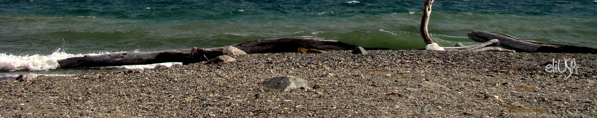 Imagen de portada