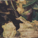 Flamenco thumbnail 2