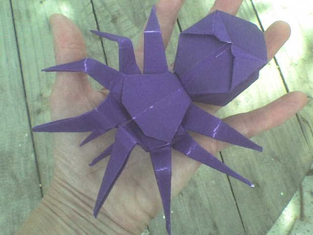 ARAÑA EN PAPEL 4