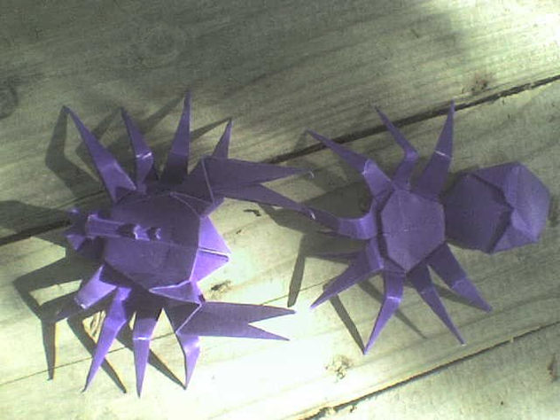ARAÑA Y ALACRAN
