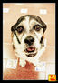 perritos_11