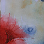 foc verd 2009 thumbnail 2