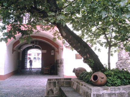 Vista