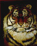 Yo soy Tigre
