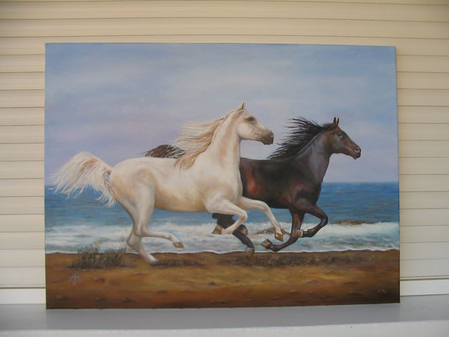 caballos 