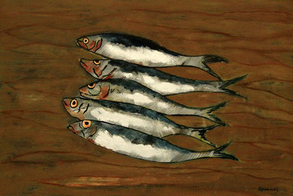 Sardina fresca