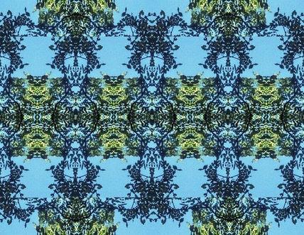 Mandala nocturno