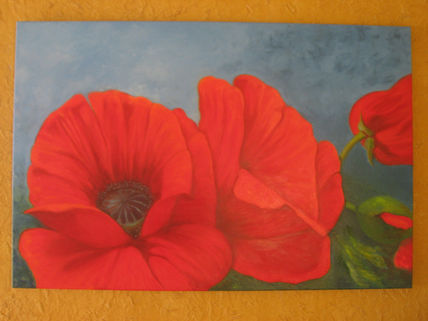 Amapolas