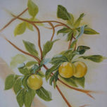 Pintura thumbnail 1