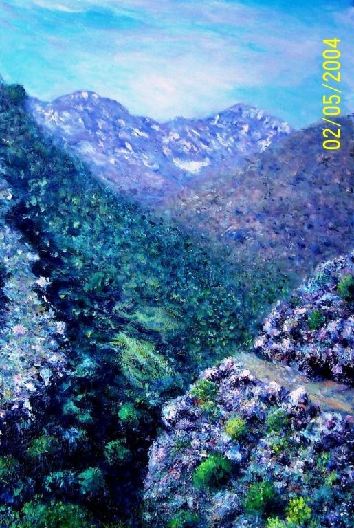 la vereda de la estrella