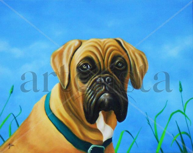 Boxer Oil Canvas Animals