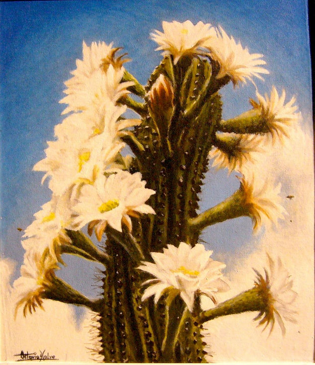 flor de cardon