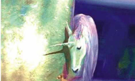LA NOCCHE DEL UNICORNIO