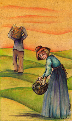 campesinos