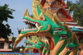 Malaysia Dragones