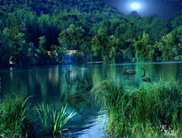 Ninfa  del  lago...