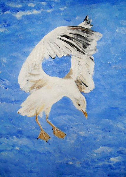 Gaviota pescando
