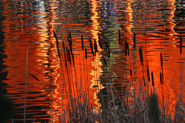 Reflejos en Central Park 