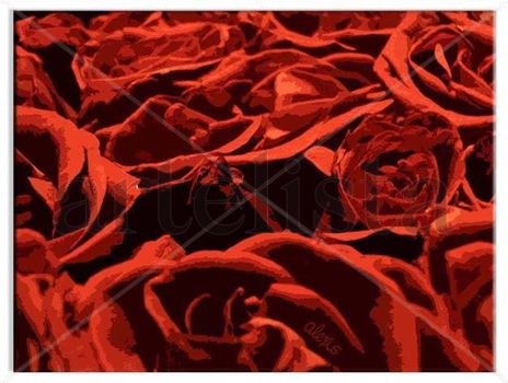 Alfombra de rosas