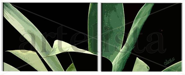 CONOCIENDO EL MAGUEY Acrylic Canvas Floral Painting