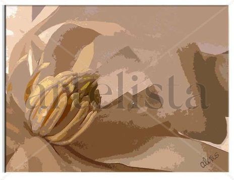 Magnolia ii