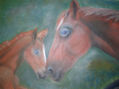 caballos