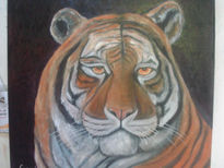 Tigre