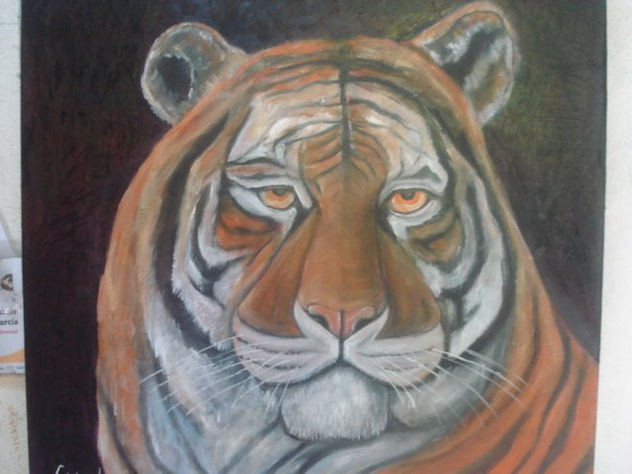 tigre