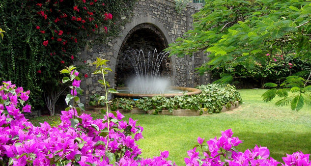 Fuente en el Parque Doramas 