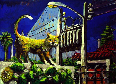 Pumix, el gato colorin