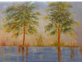ARBOLES EN EL PANTANO