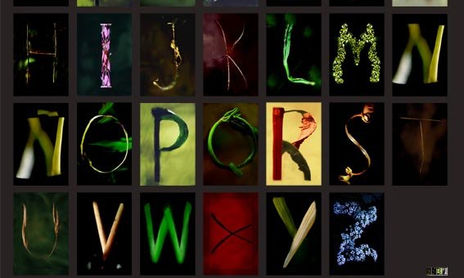 Tipografías / Typographies