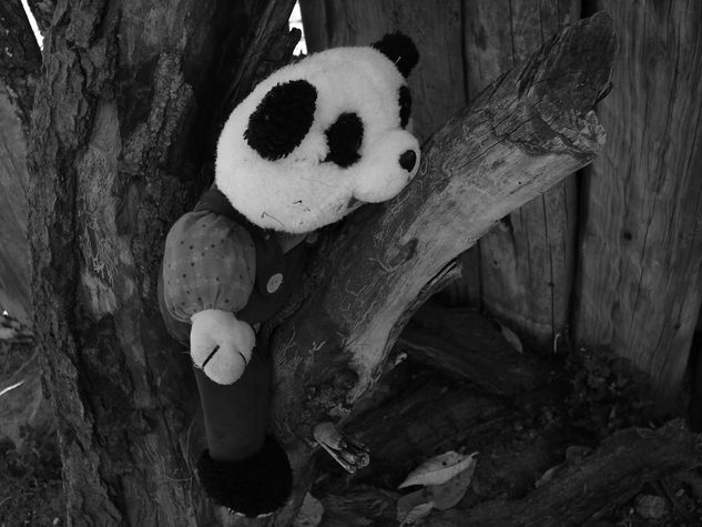 Ocio de Peluche Other Themes Black and White (Digital)