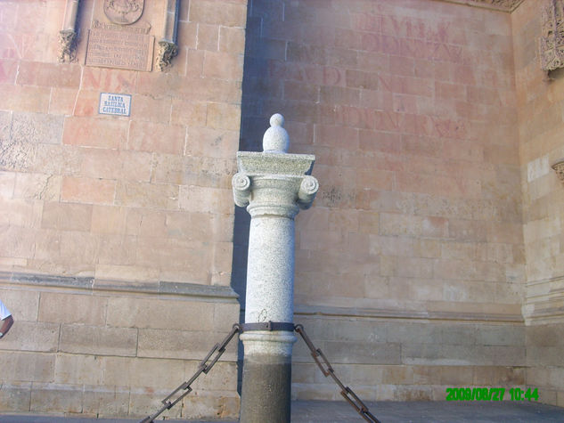 mitad de la columna de la catedral de salamanca 