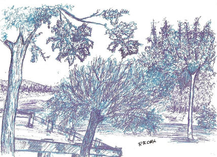 Arboles (dibujo)