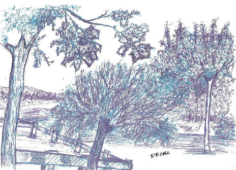 Arboles (dibujo)