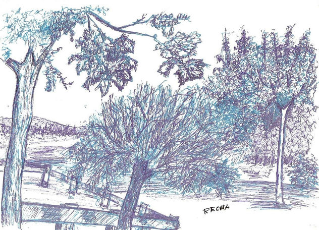 ARBOLES (DIBUJO)