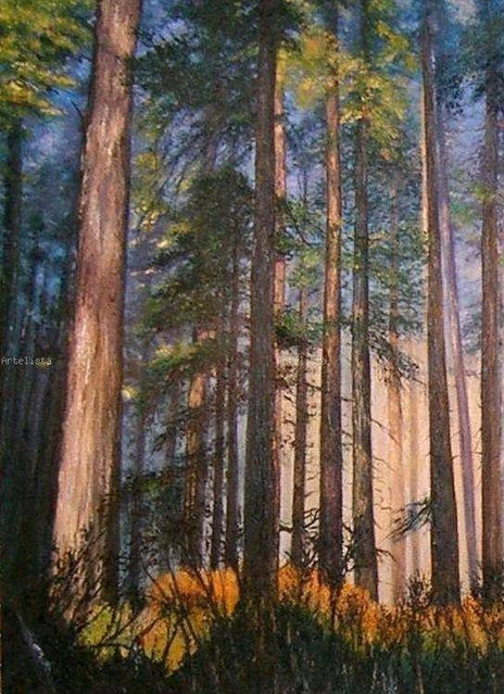 Il bosco e i suoi...