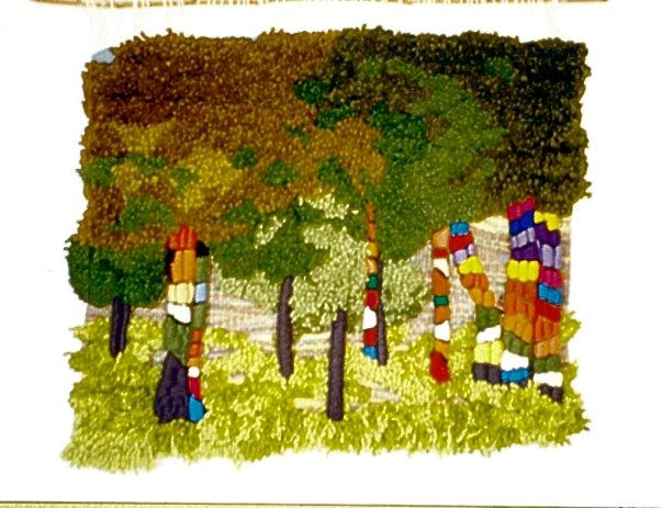 BOSQUE DE OMA