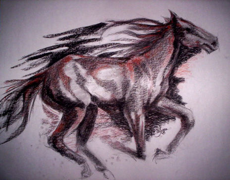 Equino