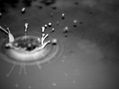 drops II