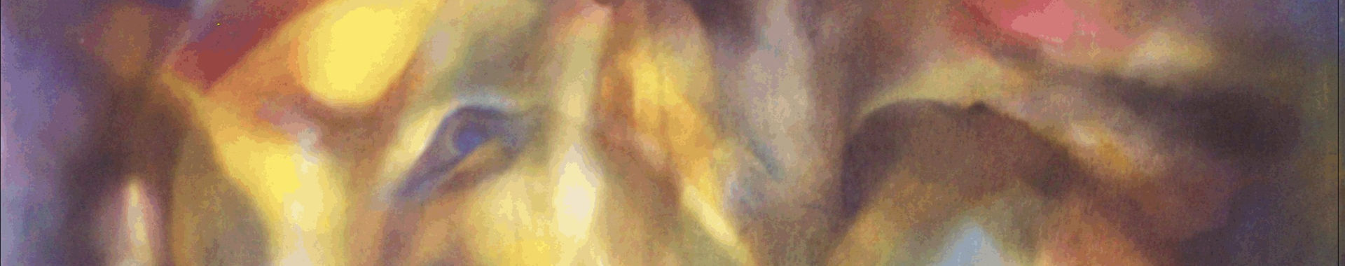 Imagen de portada
