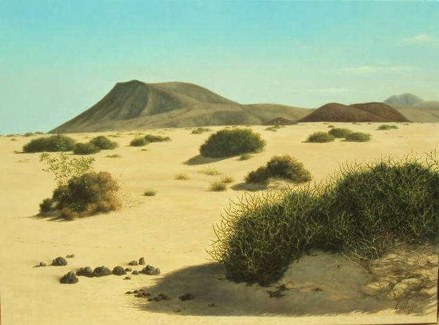 Dunas en montaña roja Óleo Lienzo Paisaje