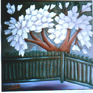 ARBOL BLANCO