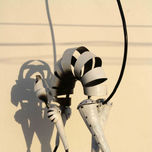 N.L.A.2 thumbnail 1