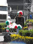 tricolor