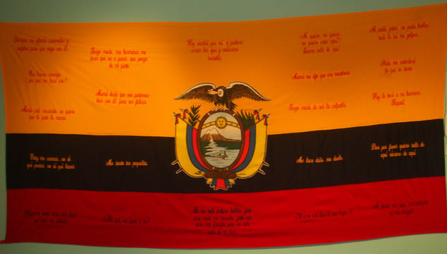 bandera2 detalle