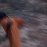 Psicotic thumbnail 1